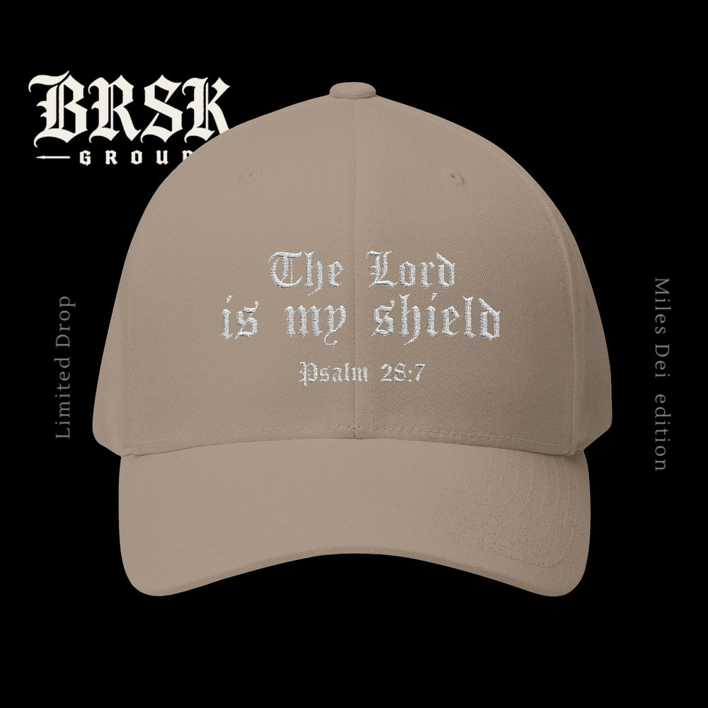 The lord is my shield