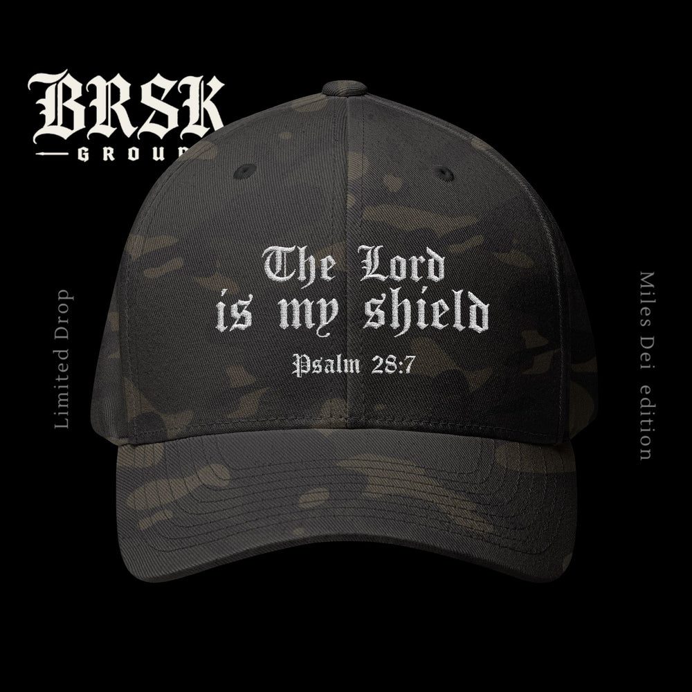 The lord is my shield