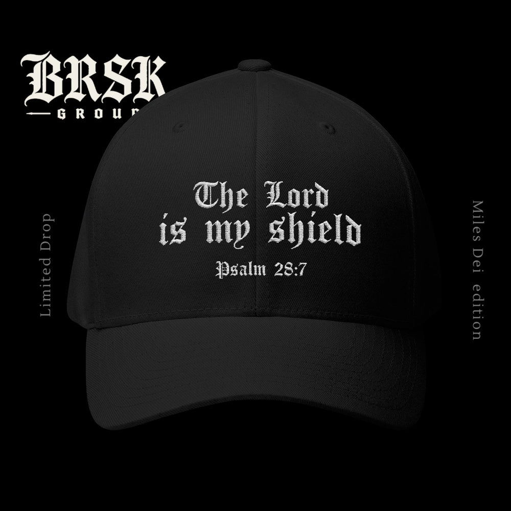 The lord is my shield