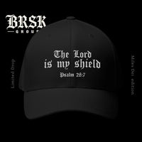The lord is my shield